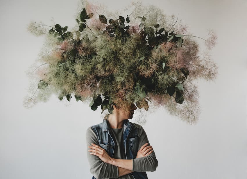 Représentation symbolique d'une personne dont le visage est dissimulé par un feuillage dense, illustrant la complexité des troubles de santé mentale abordés en formation PSSM.